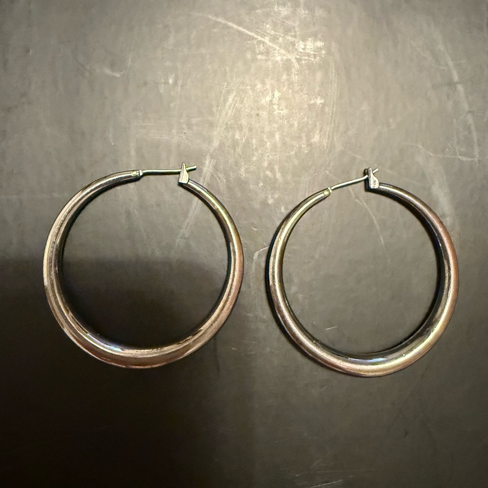 Elegant Silver Hoop Earrings